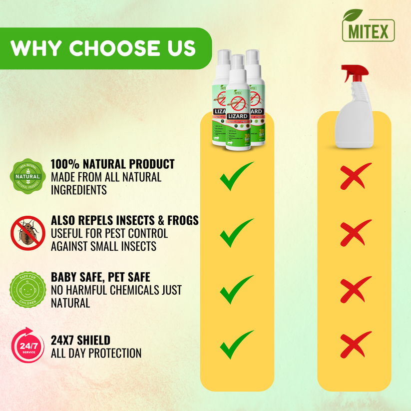 LIZARDGAURD™ - LIZARD REPELLENT SPRAY (BUY 1 GET 2 FREE) (PACK OF 3)